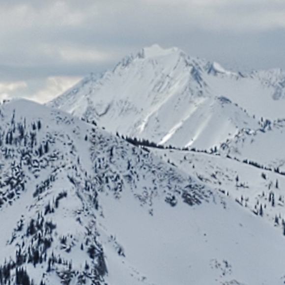 Ambassador❤Mentor❤High Rated Seller❤Send Offers❤ - Picture 6 of 12